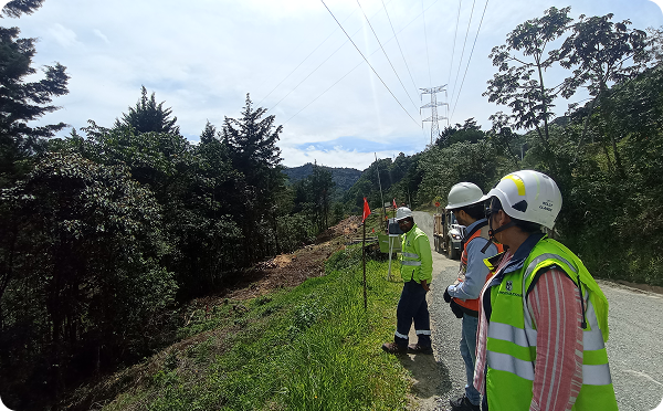 Asesoría técnica en procesos licitatorios